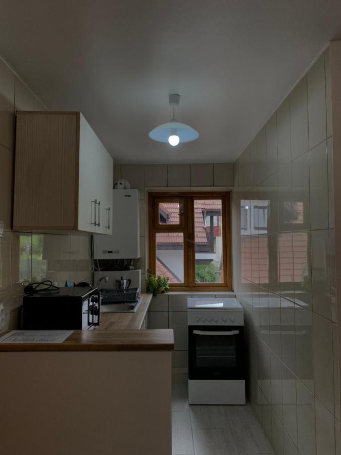 Belle View Apartment Сіная Екстер'єр фото